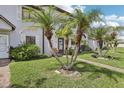 Well-kept townhome with lush green lawn and mature palm trees at 903 Deer Springs Rd, Port Orange, FL 32129