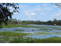 Scenic view of the community waterway, teeming with native plants and trees at 942 Lemon Bluff Rd, Osteen, FL 32764