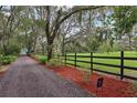 A long tree-lined driveway leads to the property at 1555 Mercers Fernery Rd, Deland, FL 32720