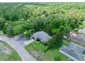 Expansive aerial shot of home nestled amongst the trees, boasting a large yard and natural surroundings at 1734 Magnolia Ave, Deland, FL 32724