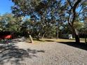 View of the gravel drive and yard, with trees and a storage shed at 17531 Ne 139Th Ave, Fort Mc Coy, FL 32134