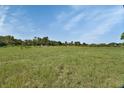 Vast, open field of green grass under a bright blue sky, showcasing natural beauty at 396 Uranus Trl, Osteen, FL 32764