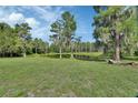 Scenic view of a peaceful pond surrounded by lush greenery and trees with Spanish moss at 396 Uranus Trl, Osteen, FL 32764