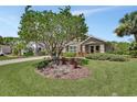 Beautifully landscaped front yard with mature tree and well-maintained lawn leading to the home at 1329 Sunningdale Ln, Ormond Beach, FL 32174