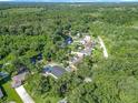 Expansive aerial view showcasing the property's tranquil and private setting surrounded by lush greenery at 28432 Tammi Dr, Tavares, FL 32778