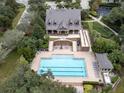 Aerial view of the community clubhouse and pool surrounded by lush landscaping and green trees at 22004 Belgian Ct, Mount Dora, FL 32757