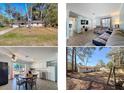 Charming single-story home with a well-maintained front yard and mature trees providing ample shade at 1531 Ne 38Th St, Ocala, FL 34479