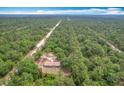Expansive aerial view of a home nestled among lush greenery with a long winding driveway at 4931 Tropicana Dr, Indian Lake Estates, FL 33855