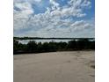 Scenic view of a tranquil lake surrounded by lush greenery, providing a serene and peaceful backdrop at 1556 Covey Rise Ter, Winter Haven, FL 33884