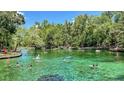 Crystal-clear natural spring teeming with swimmers surrounded by lush greenery at 753 Mystic Gardens Dr, Apopka, FL 32703