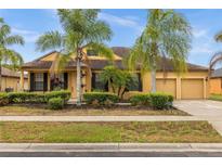 Single-story house with palm trees and landscaped yard at 4014 Sunburst View Cir, Kissimmee, FL 34746