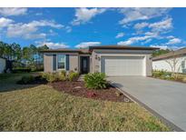 Charming single-story home with a well-manicured lawn, tasteful landscaping, and an attached two-car garage at 6185 Sw 89Th Ct, Ocala, FL 34481