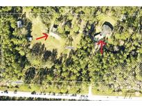 Aerial view of the properties showcasing expansive acreage and wooded surroundings at 10411 County Road 474, Clermont, FL 34714