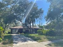 Charming single-story home featuring mature trees and a well-maintained front lawn with a long driveway at 507 Cloudcroft Dr, Deltona, FL 32738