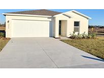 Newly built home with two-car garage and spacious backyard at 12957 Se 53Rd Ave, Belleview, FL 34420