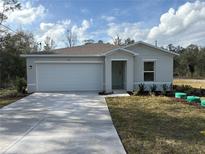 Charming single-story home with a two-car garage and a well-manicured lawn at 41 Fisher Lane Crse, Ocklawaha, FL 32179