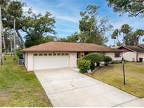 Charming single-story home with attached garage, lush landscaping and a concrete driveway at 812 Whiporwill Dr, Port Orange, FL 32127