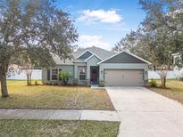 Charming single-story home with well-maintained lawn, fresh landscaping, and a two-car garage at 46 Chrysanthemum Dr, Ormond Beach, FL 32174