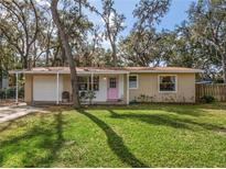 Charming single-story home with a pink front door, lush lawn, and mature trees at 354 Fir St, Ormond Beach, FL 32174