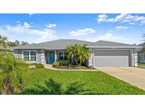 Charming single-story home with a well-maintained lawn and a two-car garage at 111 Heron Dunes Dr, Ormond Beach, FL 32176