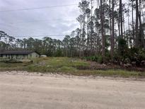 A verdant property with mature trees adjacent to a cozy home under an overcast sky at 2119 East Pkwy, Deland, FL 32724