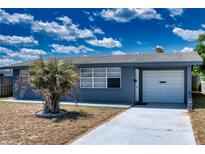 Charming single-story home with a garage and a well-maintained front yard with a palm tree at 30 Azalea Dr, Ormond Beach, FL 32176