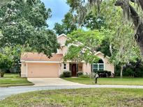 Two-story home boasts a welcoming front yard, two-car garage, and lush surrounding trees at 440 Champagne Cir, Port Orange, FL 32127