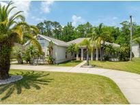 Beautiful single-story home featuring lush landscaping and a winding driveway at 69 Coquina Ridge Way, Ormond Beach, FL 32174