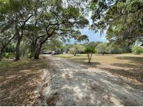 Long, leaf-strewn driveway leading to a home surrounded by mature trees and open land at 486 S Us Highway 1, Oak Hill, FL 32759