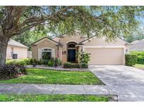 Charming single-story home with a well-manicured lawn, a two-car garage, and beautiful, mature trees at 25216 Ironwedge Dr, Sorrento, FL 32776
