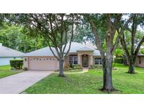Charming single-story home with a well-manicured lawn and mature trees in a peaceful neighborhood at 24 Katrinas Dr, Ormond Beach, FL 32174