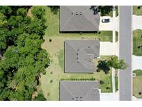 Aerial view of houses showing roofs and landscaping with neighboring street and tall trees at 3029 Adrian Dr, Ormond Beach, FL 32174