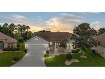 Charming single-story home with a well-manicured lawn, a two-car garage, and mature trees, offering curb appeal and a welcoming atmosphere at 1306 De La Garza Pl, The Villages, FL 32162