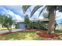Charming one-story home with well-maintained lawn and lush landscaping, including palm trees at 1415 Harnden W Rd, Port Orange, FL 32129