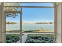 Screened-in patio showcasing a serene lake view with lush landscaping visible from the lanai at 561 Juniper Springs Dr, Groveland, FL 34736