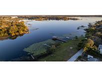 Stunning aerial view of a lakefront property with dock and lush surroundings, perfect for peaceful living at 13619 Lake Blvd, Winter Garden, FL 34787