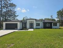 Modern home featuring a well manicured lawn, two car garage, and a striking front door at 42200 Chinaberry St, Eustis, FL 32736