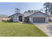 Charming single-story home with a well-maintained lawn, neutral gray paint, and attached two car garage at 35534 Quail Run, Leesburg, FL 34788