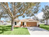 Tan house with brown garage door, nicely landscaped yard, and a large tree in front at 2717 Breezy Meadow Rd, Apopka, FL 32712