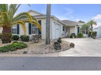 Side view of a single-story house with palm trees and well-manicured landscaping at 906 Drakeswood Ave, The Villages, FL 32162