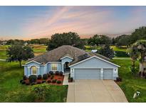 Beautiful house with three-car garage,solar panels, and a pond view at 4557 Antietam Creek Trl, Leesburg, FL 34748