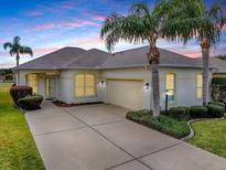 Attractive single-story home with a two-car garage and palm trees at 12060 Se 176Th Loop, Summerfield, FL 34491