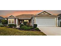Charming home featuring manicured landscaping and an attached two-car garage at 507 Delfin Rd, The Villages, FL 32163