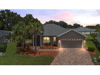 Attractive single-story home with landscaped yard and paver driveway at 10377 Silver Maple Ave, Oxford, FL 34484