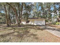 House exterior surrounded by lush trees and a driveway at 5870 Se 158Th Ct, Ocklawaha, FL 32179