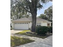 One-story home with white exterior, attached garage, and landscaping at 7023 Arcadian Ct, Mount Dora, FL 32757