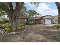 Charming brick home featuring a large, mature shade tree and well-manicured landscaping at 3450 Laurel Dr, Mount Dora, FL 32757