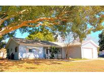 Ranch-style home with a carport and mature landscaping at 10337 Se 176Th St, Summerfield, FL 34491