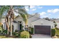 One-story house with light siding, dark garage door, and landscaped yard at 25324 Hibiscus St, Leesburg, FL 34748