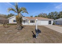 Charming single-story home with a well-maintained lawn, complemented by a mature palm tree and a two-car garage at 9951 Se 175Th St, Summerfield, FL 34491